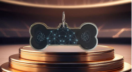 Pendentif Énergie Quantique pour Animaux — Protection & Bien-être Vibratoire